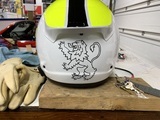 Brad's review of Lion Rampant Sticker