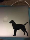 Haley's review of Labrador Dog Sticker