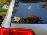 Jennifer's review of Minnesota Vikings NFL Logo Sticker