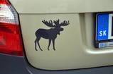 Peter's review of Moose With Big Antlers Sticker