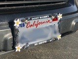 Rebecca's review of Custom Daisy Chrome License Plate Frame