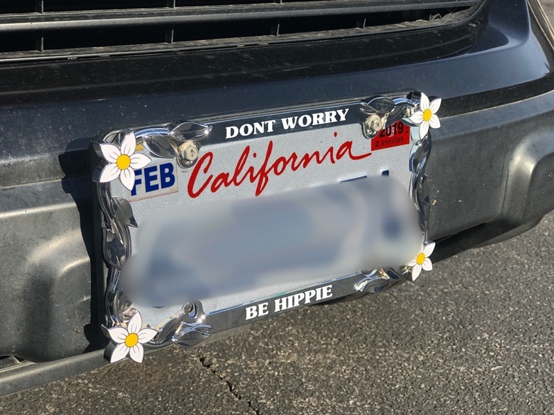 Rebecca's photograph of their Custom Daisy Chrome License Plate Frame