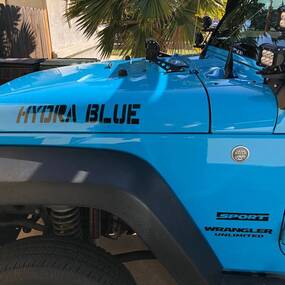 Vinyl Lettering Hydra Blue