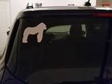 Nancy's review of Gorilla Ape Standing Sticker