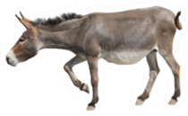 A Donkey Is Leaning Forward Sticker