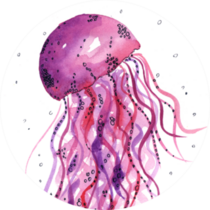 A Watercolor Drawing Of A Jellyfish In Pink Sticker