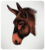 Animal Donkey, Hand-drawing Sticker