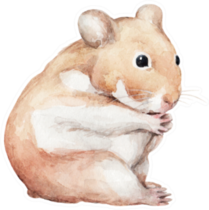 Animal Sketch Cute Little Hamster That Sits Funny Sticker