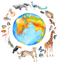 Animals Around The World Sticker