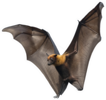 Bat Flying Upright Sticker