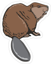 Beaver Mascot Sticker