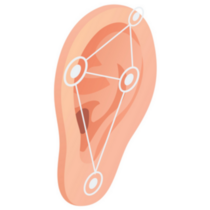 Biometric Human Ear Sticker