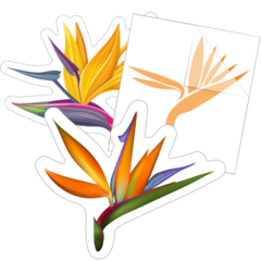 Bird of Paradise Flower Stickers