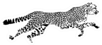 Black And White Sketch Of Running Cheetah Sticker