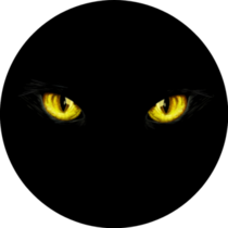 Black Cat Yellow Eyes On Black Sticker