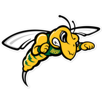 Black Hills State Yellow Jackets NCAA Logo Sticker