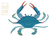 Blue Crab Illustration With Lettering Sticker