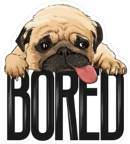 Bored Pug Dog Sticker