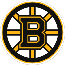 Boston Bruins NHL Logo Sticker