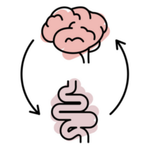 Brain And Stomach Line Icon Sticker