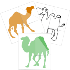 Camel Stickers