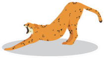 Cartoon Cheetah Stretching Back Sticker