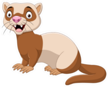 Cartoon Funny Ferret Big Eyes Sticker