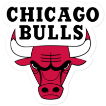 Chicago Bulls NBA Logo Sticker