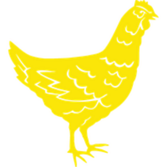 Chicken Stickers