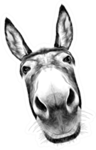 Close Up Donkey Head Sticker