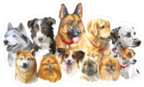 Colorful Portraits Of Dog Breeds Sticker