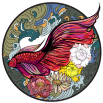 Colorful Siamese Fighting Fish Tattoo Sticker