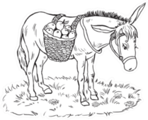 Coloring Page Donkey With A Basket Of Apples Sticker