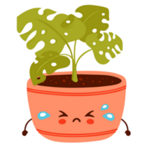 Cute and Sad Kawaii Baby Potted Monstera Plant Sticker