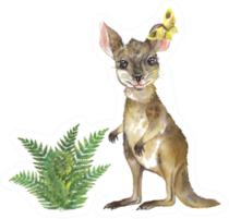 Cute Baby Kangaroo With Plant Watercolor Illustration Sticker