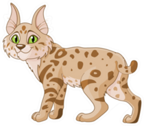 Cute Bobcat Sticker