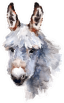 Cute Donkey Watercolor Animal Sticker