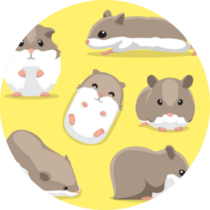 Cute Hamster Poses Cartoon On Yellow Sticker