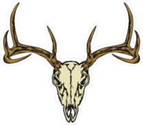 Deer Skull Sticker