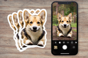 Dog Photo Stickers