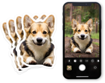 Dog Photo Stickers