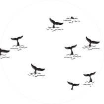 Dolphin Tail Pattern Sticker