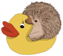 Drawing Of A Hedgehog Sitting In A Rubber Duck Sticker