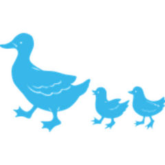 Duck Stickers