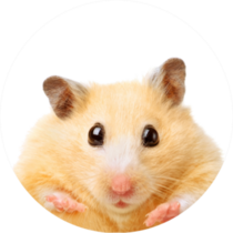 Fat Funny Hamster Sticker