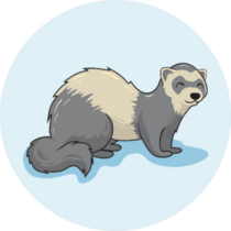 Ferret Cartoon Weasel Animal On Light Blue Background Sticker