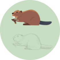 Funny Beaver Illustration On Green Sticker