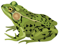 Green Frog Drawing Sticker