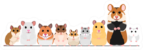 Hamsters In A Row Sticker