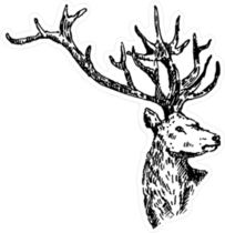 Hand Drawn Deer Sketch Sticker